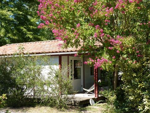 Camping Etche Zahar - Camping Pyrenees-Atlantiques - Image N°39
