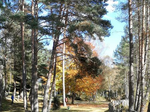 Camping Le Vianon - Camping Correze - Image N°25