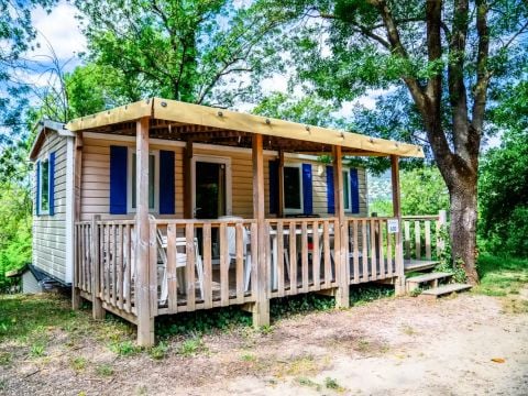 Camping Parc Bellevue Cannes - Camping Alpes-Maritimes - Image N°0