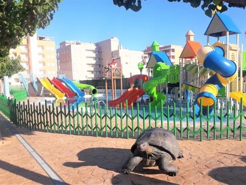 Camping Monmar - Camping Castellón - Image N°4