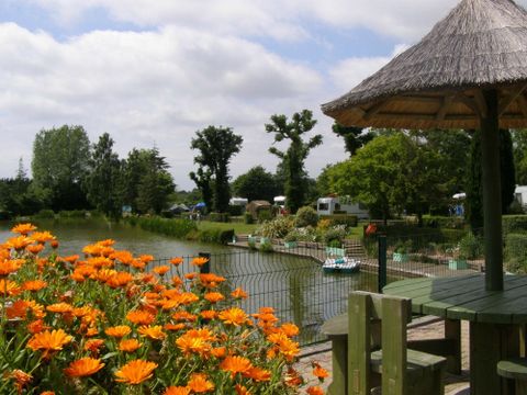 Camping l'Etang des Haizes - Camping Manche - Image N°26