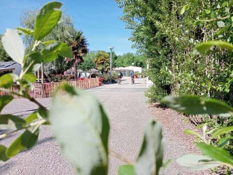 Camping Les Mancellieres - Camping Vendée - Image N°23