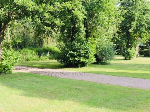 Camping Les Mancellieres - Camping Vendée - Image N°24