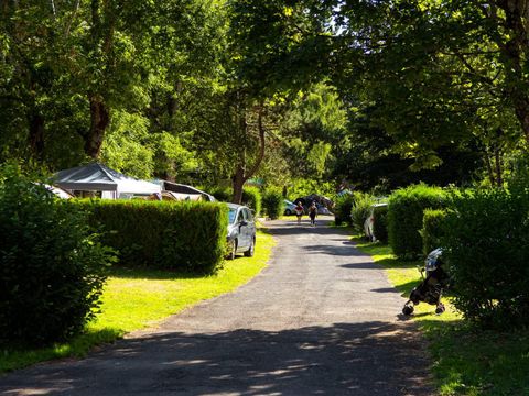 Emplacement - Forfait Confort (emplacement+80m² / 1 voiture / électricité 10A)
