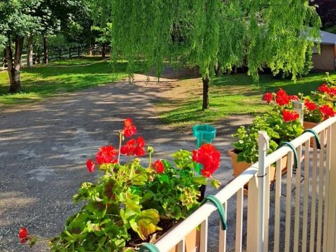 Camping Le Terrados - Camping Lozère - Afbeelding N°4