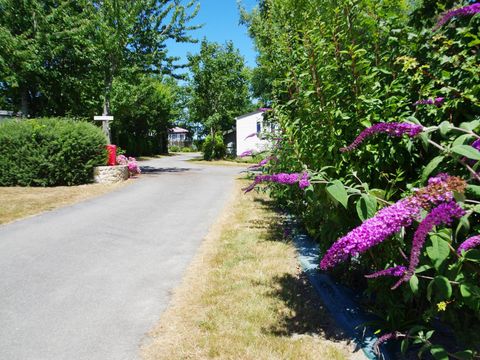 Camping La Ferme de Lann Hoëdic - Camping Morbihan - Image N°28