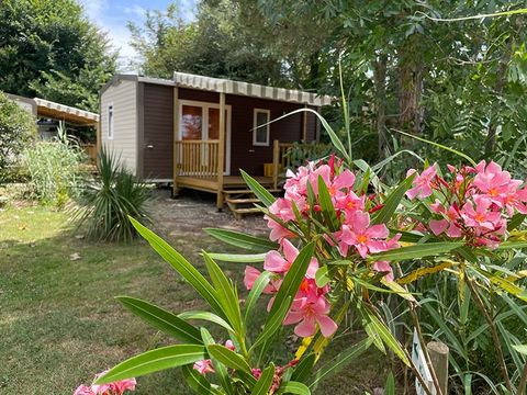 Camping Aqua 3 Masses - Camping Charente-Maritime - Image N°19