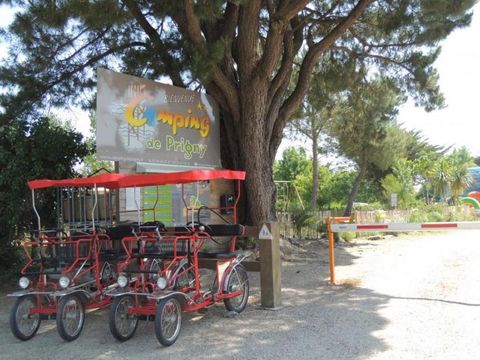 Camping de Prigny - Camping Loire-Atlantique - Image N°12