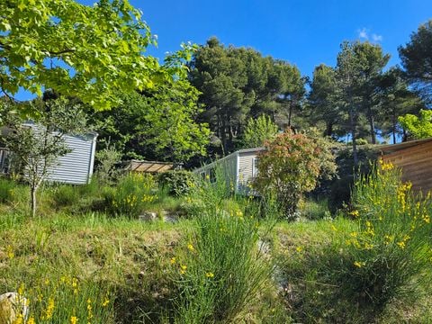 Camping les Terrasses Provençales - Camping Drome