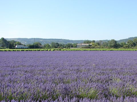 Camping les Terrasses Provençales - Camping Drome - Image N°22