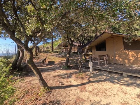 Camping les Terrasses Provençales - Camping Drome - Image N°3