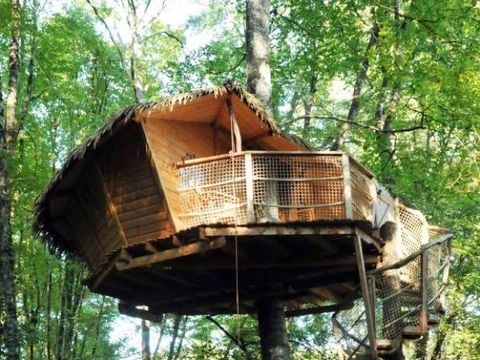Hébergement 3 personnes - Cabane dans les arbres - Pêcheur