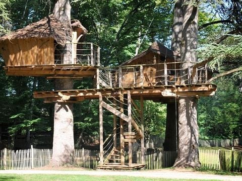 Hébergement 6 personnes - Cabane dans les arbres - Ouistitis