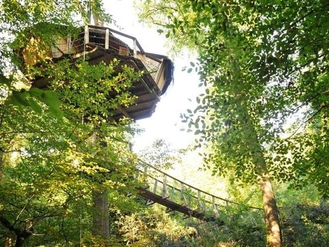 Hébergement 2 personnes - Cabane Amazonie (à partir de 12 ans)