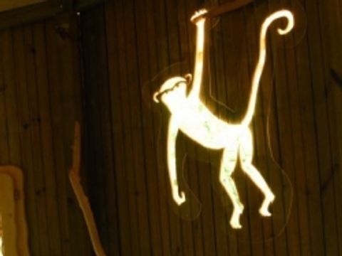 Hébergement 4 personnes - Cabane Familiale des Chimpanzés (à partir de 2 ans)