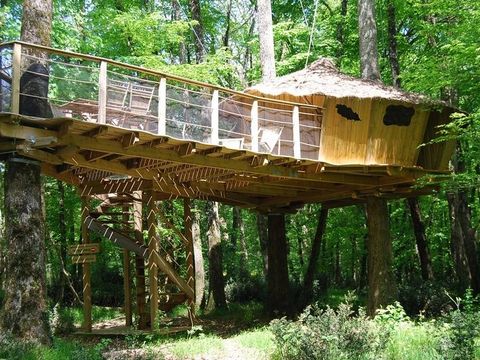 Hébergement 4 personnes - Cabane Familiale des Chimpanzés (à partir de 2 ans)