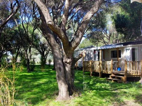 MOBILHOME 6 personnes - Cottage 3 chambres