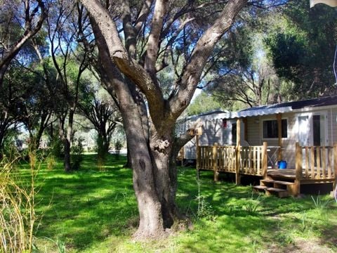 MOBILHOME 6 personnes - Cottage 3 chambres