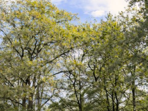 HÉBERGEMENT INSOLITE 2 personnes - Ushuaïa sky Dome vue vallée