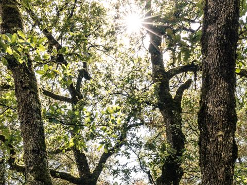 Camping Domaine La Faurie - Camping Lot - Image N°44