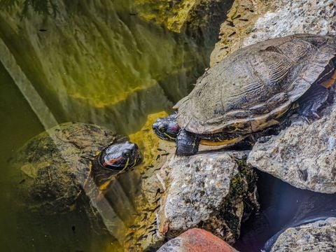 Camping Domaine La Faurie - Camping Lot - Image N°43