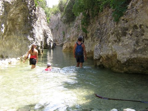 Camping Fontisson - Camping Vaucluse - Image N°20