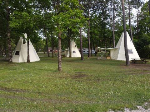 Camping Parc de Nibelle - Camping Loiret - Image N°15
