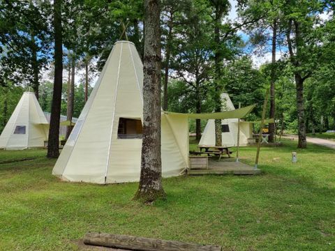 Camping Parc de Nibelle - Camping Loiret - Image N°15