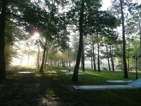 Camping Parc de Nibelle - Camping Loiret - Image N°7