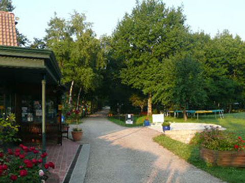 Camping Parc de Nibelle - Camping Loiret - Image N°10