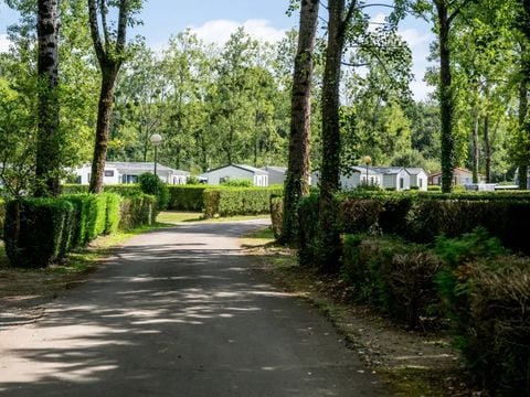 Camping maeva Respire La Comtesse  - Camping Landes - Afbeelding N°22