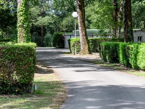 Camping maeva Respire La Comtesse  - Camping Landes - Afbeelding N°18