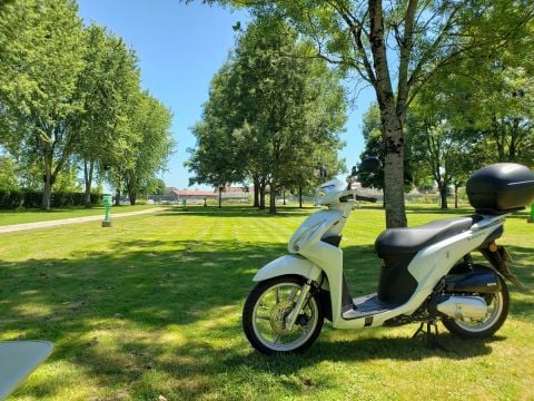 Camping de l'Arquebuse - Camping Côte-d'Or - Afbeelding N°2