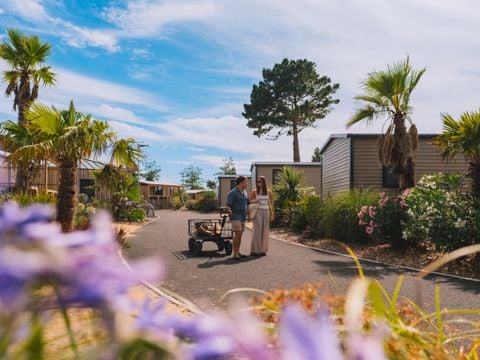 MOBILHOME 6 personnes - PALM 3 chambres  env 33m² - quartier la Palmeraie