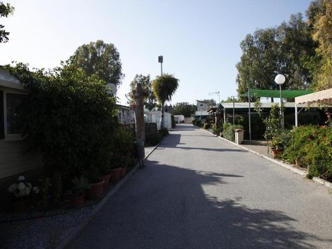 Camping Valleniza Playa - Camping Málaga - Image N°9