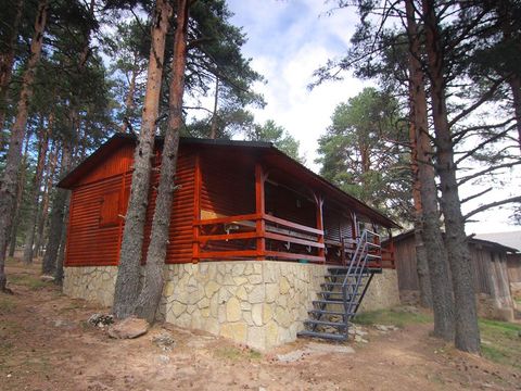 Camping Sierra de Albarracin - Camping Teruel - Image N°33