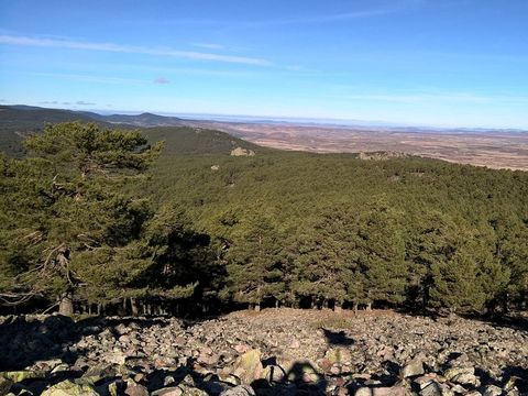 Camping Sierra de Albarracin - Camping Teruel - Image N°9
