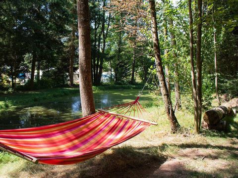 Camping Au Clos de la Chaume - Camping Sites et Paysages - Camping Vosges - Image N°108