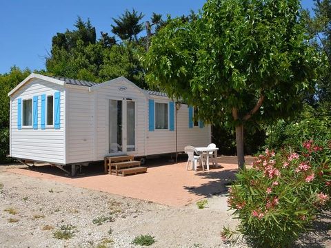 Flower Camping Les Micocouliers - Camping Bouches-du-Rhône - Image N°32