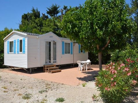 Camping Les Micocouliers - Camping Bouches-du-Rhone - Image N°5