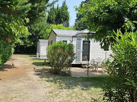 Flower Camping Les Micocouliers - Camping Bouches-du-Rhône - Image N°9