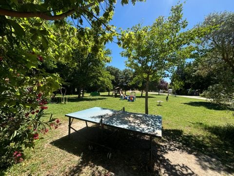 Flower Camping Les Micocouliers - Camping Bouches-du-Rhône - Image N°2