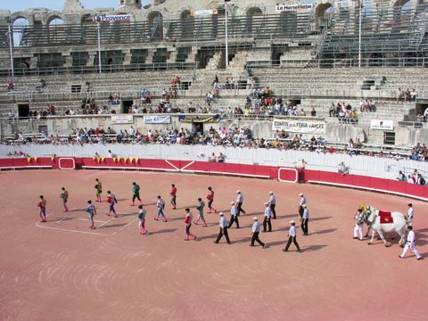 Flower Camping Les Micocouliers - Camping Bouches-du-Rhône - Image N°26