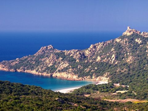 Camping L'Avena - Camping Corse du Sud - Image N°18