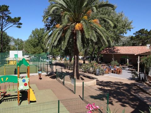 Camping L'Avena - Camping Corse du Sud - Image N°16