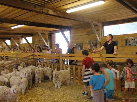 Camping Au P'tit Bonheur - Camping Dordogne - Image N°26