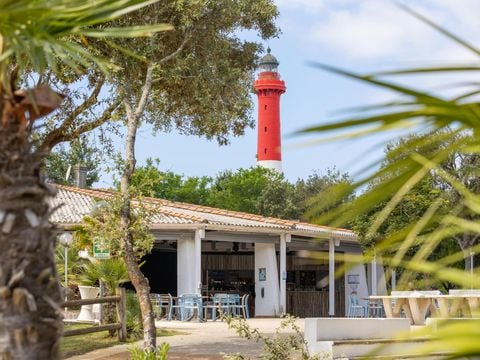Camping Club La Côte Sauvage 5* - MS VACANCES - Camping Charente-Maritime
