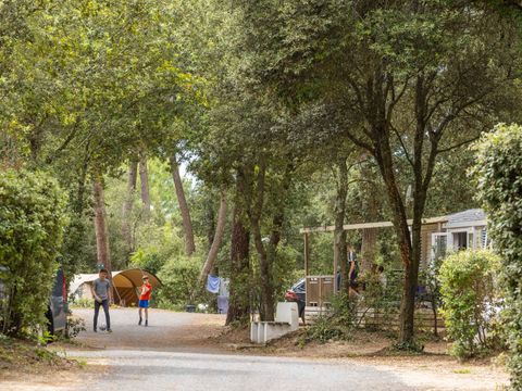 Camping Club La Côte Sauvage - Camping Charente-Maritime - Image N°27