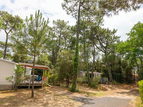 Camping Club La Côte Sauvage 5* - MS VACANCES - Camping Charente-Maritime - Image N°51