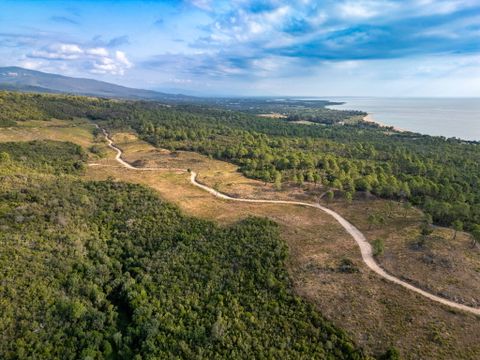 Camping Sole di Sari - Camping Corse du Sud - Image N°17